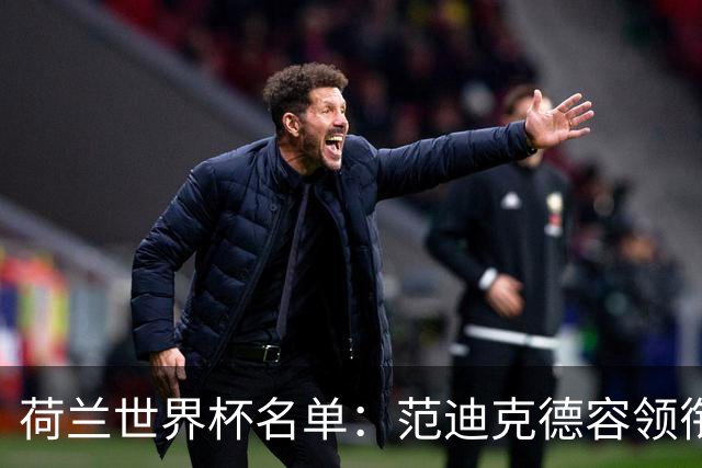 荷兰世界杯名单：范迪克德容领衔 德佩德弗赖在列